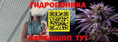 индика Чапаевск